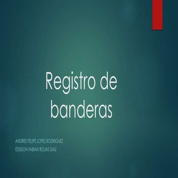 REGISTRO DE BANDERAS