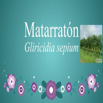 presentacion-del-matarraton_compress.pdf