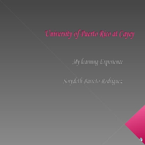 My Learning Experience