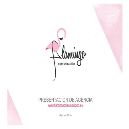 Presentación de agencia - Flamingo Comunicación (2016) 