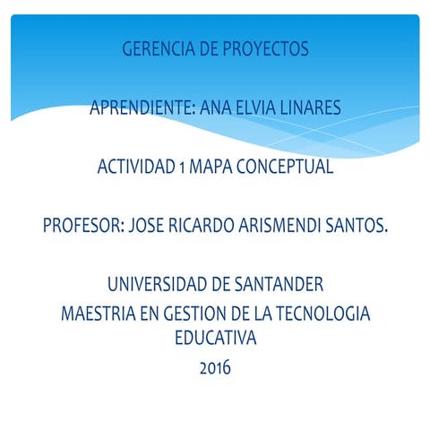 Presentacion gerencia de proyectos ana elvia linares