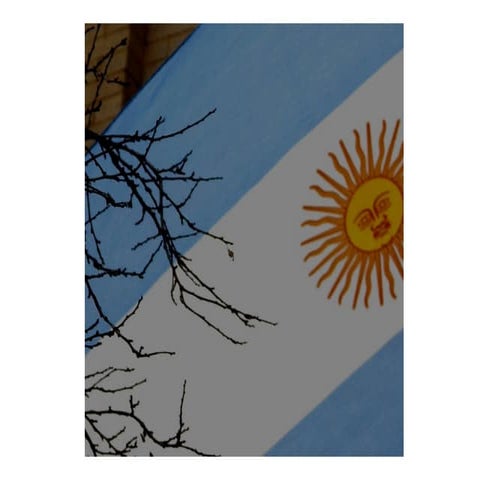 Presentacion powerro1