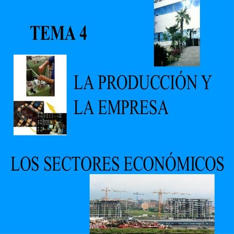 Presentacion Tema 4(1)