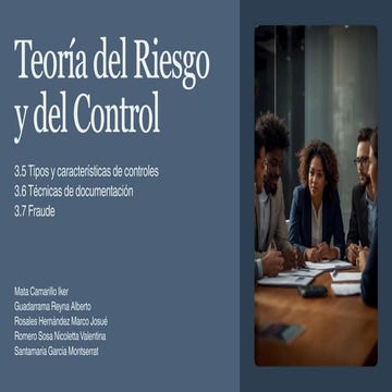 Comprehensive Overview of Risk Theory, Controls, Documentation, and ...