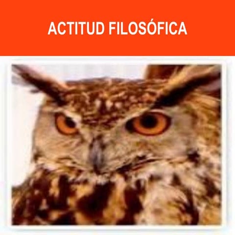 Presentacion 0000001