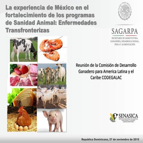 La experiencia de México en el fortalecimiento de los programas de Sanidad An...