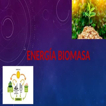 Presentación energia renovable biomasa(2).pptx
