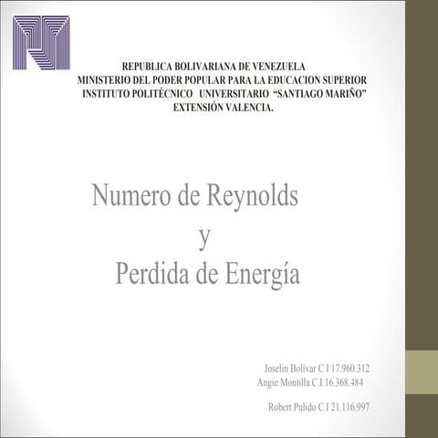 Presentacion%20fenomeno[1]