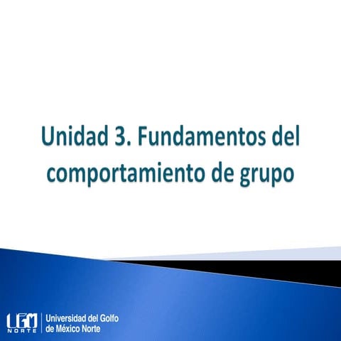 Unidad 3. Fundamentos del comportamiento de grupo | PPTX