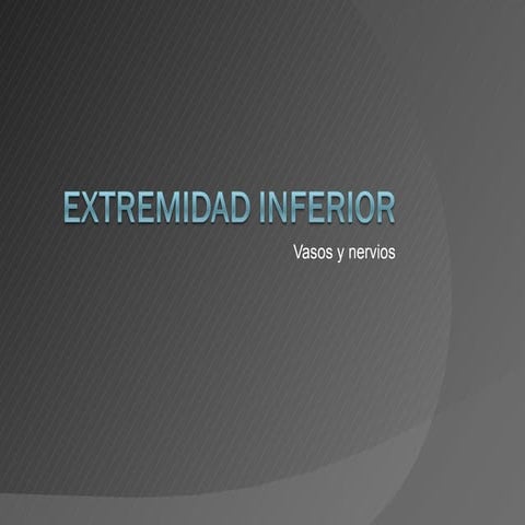 Extremidad inferior. Vasos y nervios