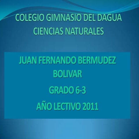 Presentacion 5 reinos de la naturaleza