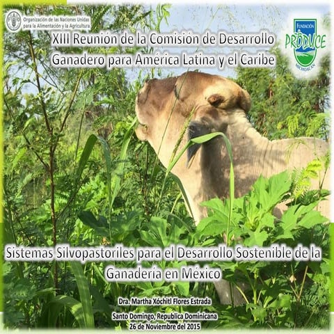 Sistemas Silvopastoriles para el Desarrollo Sostenible de la Ganadería en México