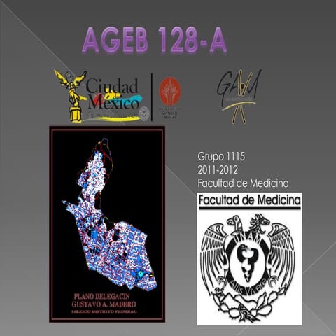 Presentacion AGEB sp final 15 2011 | PPTX