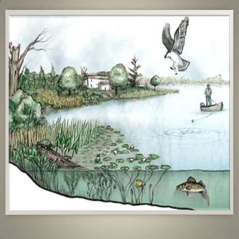 Presentacion alvaro ecosistem