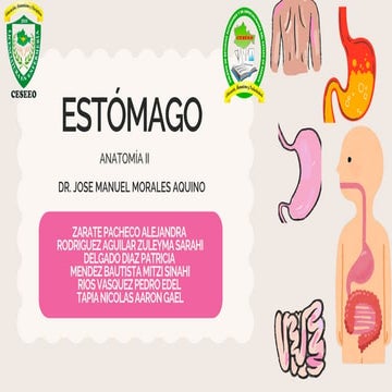 Anatomía Cuerpo Humano Ilustrado Rosa y Beige.pdf