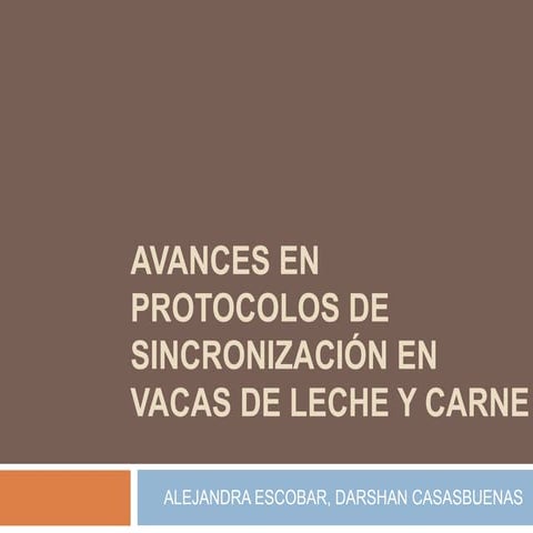 Presentacion avances en protocolos 