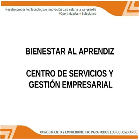 Presentacion bienestar2