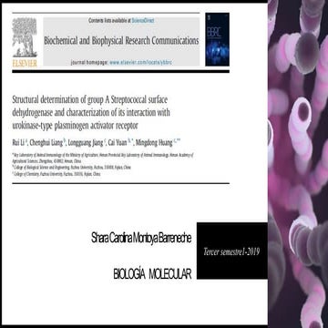 Seminario biología molecular-presentación