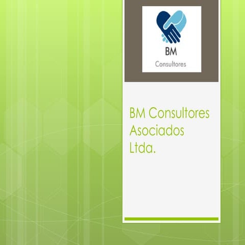 Presentacion bm consultores asociados ltda