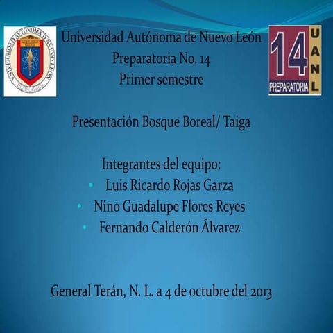 Presentacion bosque boreal 