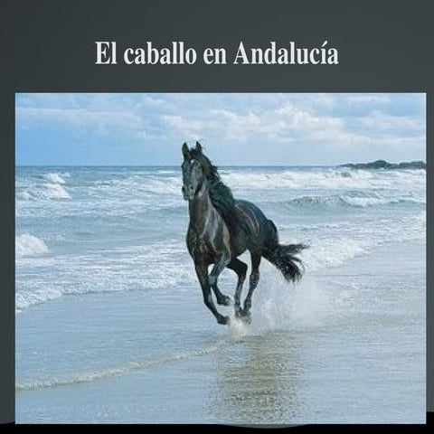 LA GANADERÍA EN ANDALUCÍA: EL CABALLO Presentacion caballo Nico y Sebas de 4ºA