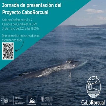 Presentación del proyecto Cabo Rorcual