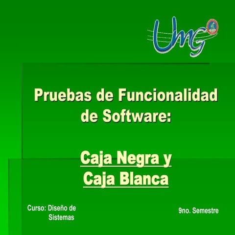 Software caja negra y caja blanca