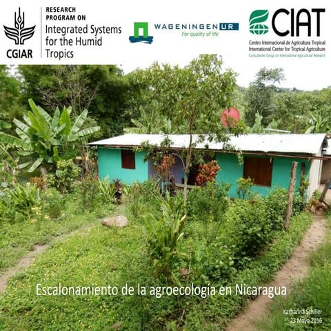 Scaling up agroecology in Nicaragua