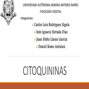 Citocininas-fitohormona reguladora