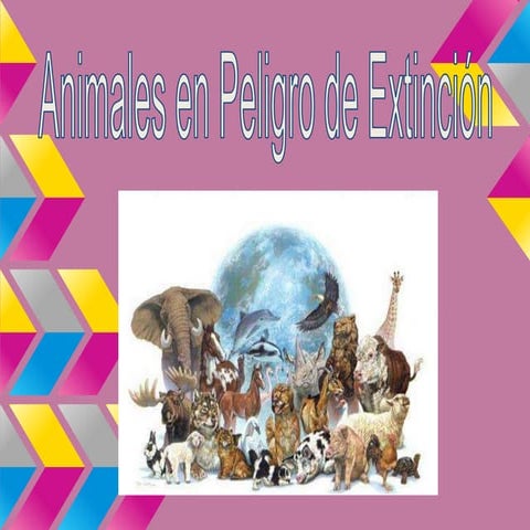 Presentacion colaborativa