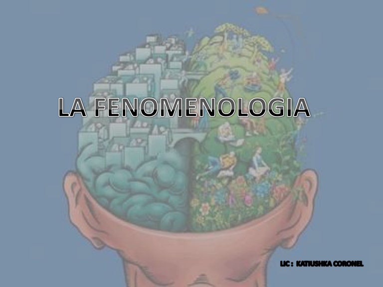 Resultado de imagen para La fenomenología