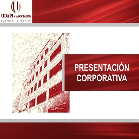 Presentacion corporativa udapi