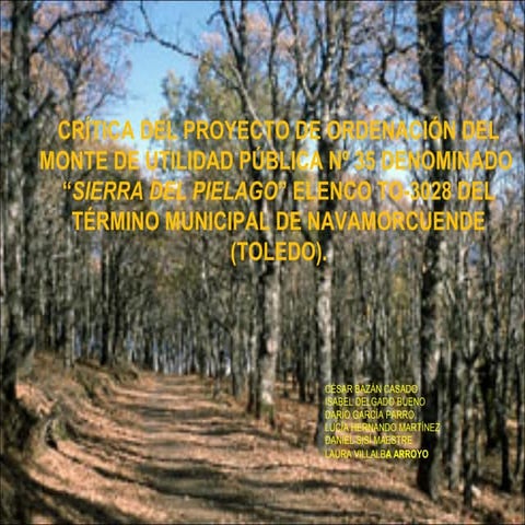 Presentacion critica de un monte