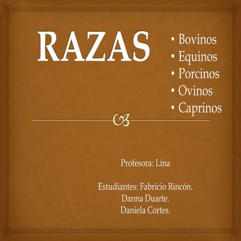 Razas Cuarto de milla, Appolosa, Braham, Texas Longhord, Brangus