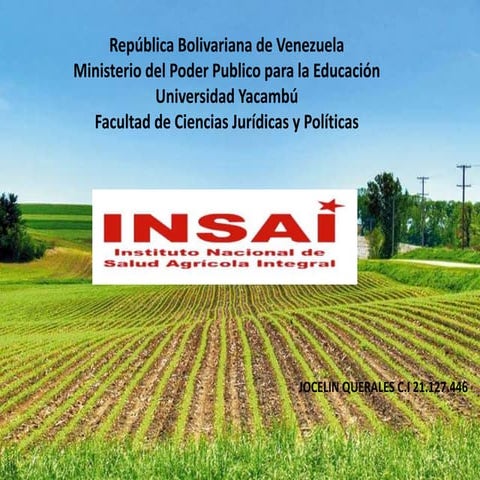 INSAI | PPTX