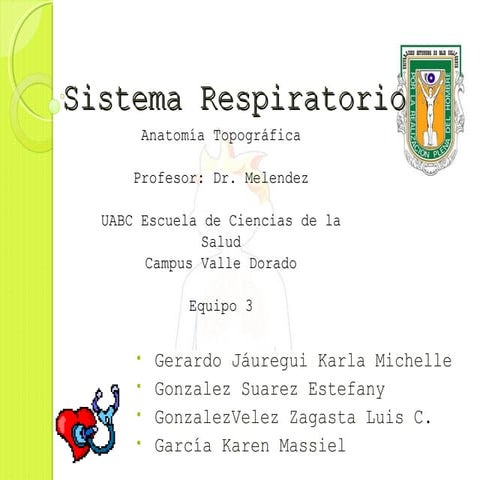 Presentacion de aparato respiratorio