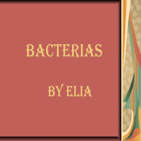 Presentacion de bacterias