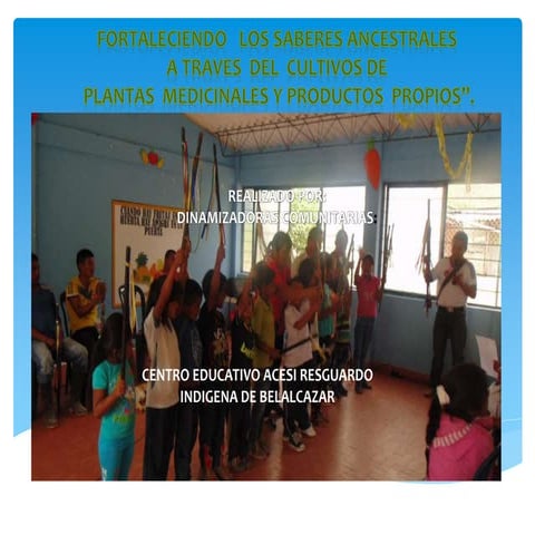 Presentacion de diapositivas para socializacion proyecto pedagogico francy