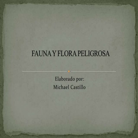 Fauna y Flora en la Selva 