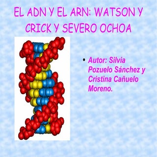 Acidos nucleicos: ADN y ARN