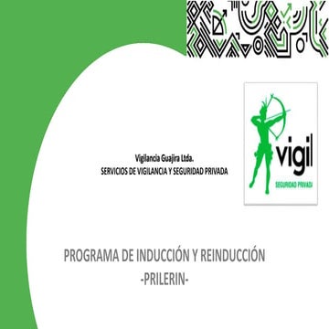 PRESENTACION DE INDUCCION Y REINDUCCION VIGIL.pptx