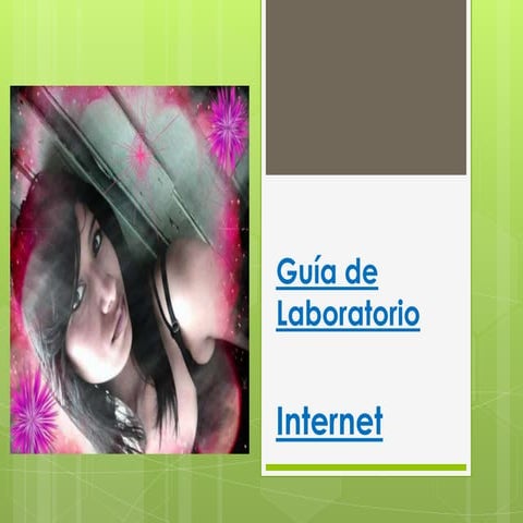 Presentacion de laboratorio internet