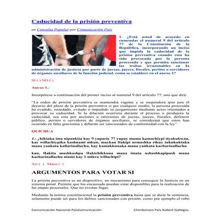 Presentacion de la consulta