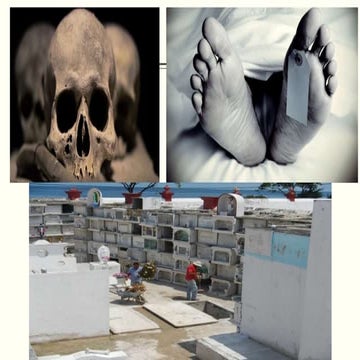 Presentacion del modulo