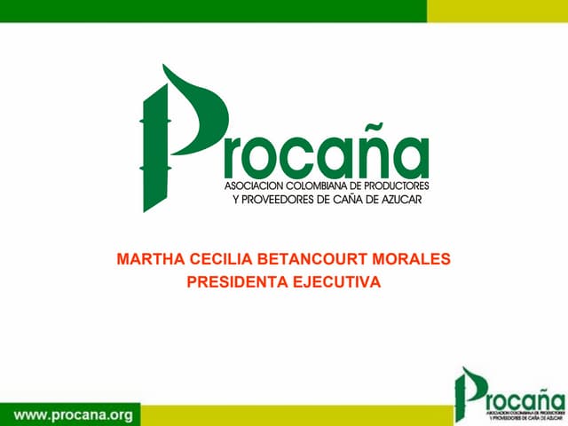 Presentacion del sector