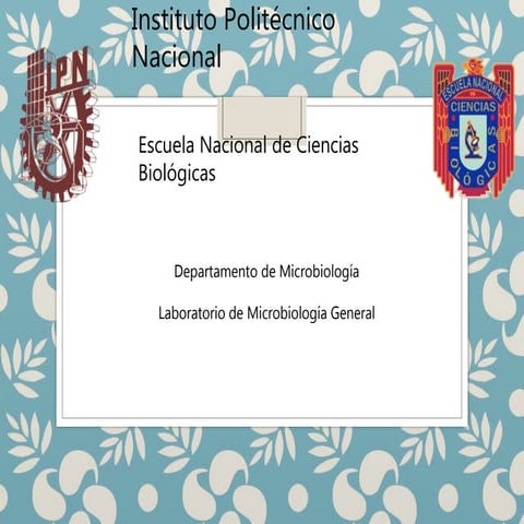 aislamiento de bacterias en productos biologicos