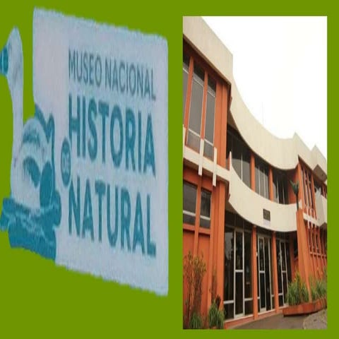 Presentacion de museo nacional de historia natural
