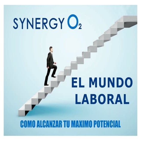 PRESENTACION DE NEGOCIOS SYNEGYO2