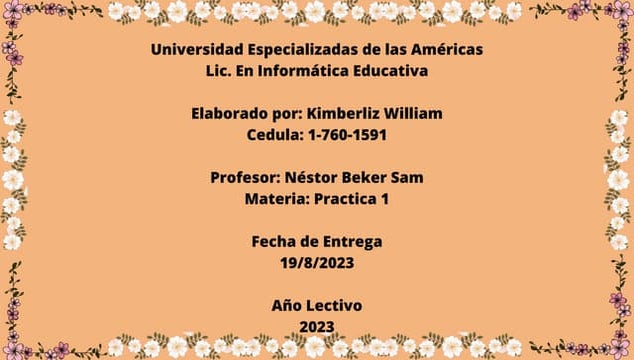 Presentacion de Practica.pptx