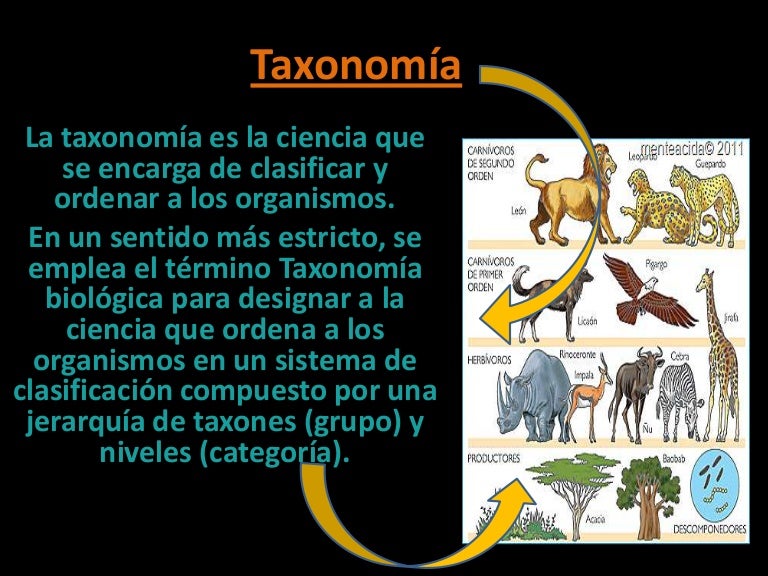 Presentacion de taxonomía